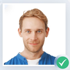 Fake ID personal information form interface with security features