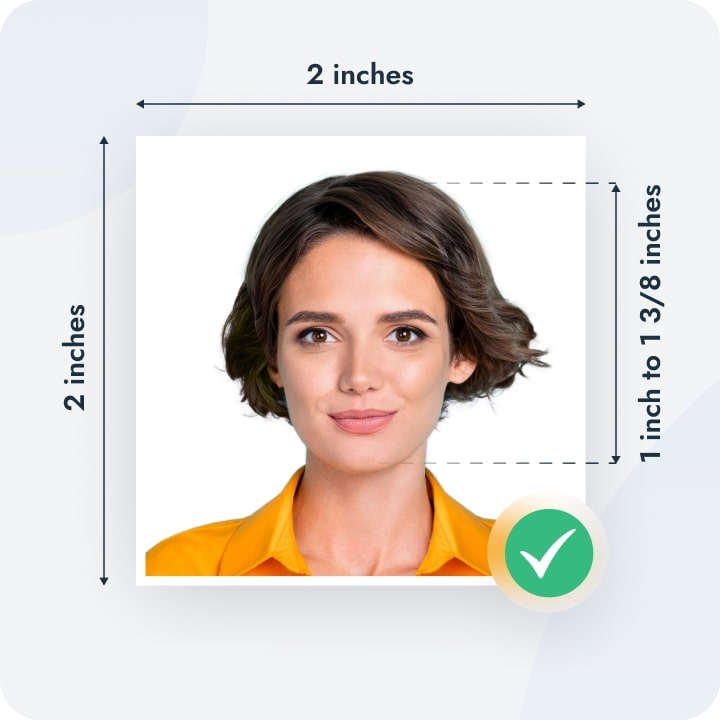 Fake ID order review interface showing identification preview and verification