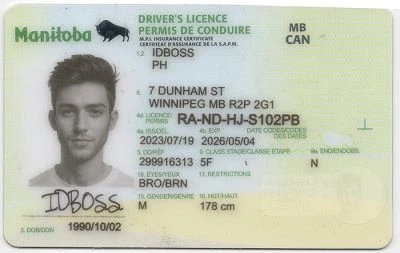 Medium Size Canada Manitoba-MB Canada Fake ID - View 1 - High Quality Scannable ID