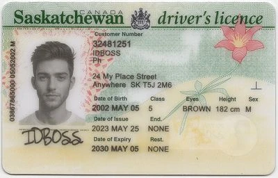 Medium Size Canada Saskatchewan-SK Canada Fake ID - View 1 - High Quality Scannable ID