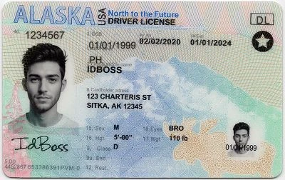 Medium Size United States Alaska-AK Fake ID - View 1 - High Quality Scannable ID