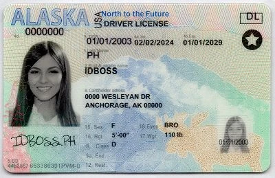 Medium Size United States Alaska Fake ID - View 1 - High Quality Scannable ID