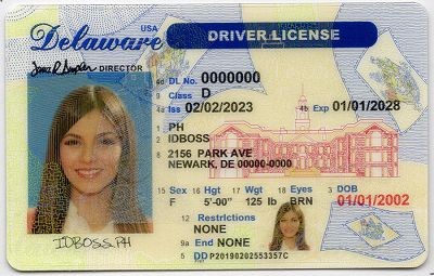 Delaware Fake ID - Premium Scannable ID