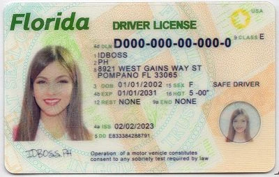 Medium Size United States Florida Fake ID - View 1 - High Quality Scannable ID