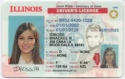 Medium Size United States Illinois - View 1 - High Quality Scannable ID
