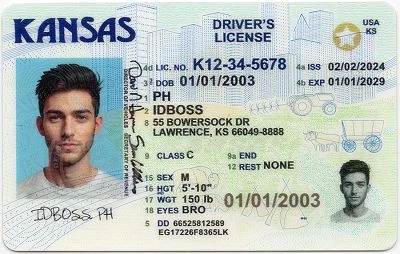 Medium Size United States Kansas-KS Fake ID - View 1 - High Quality Scannable ID