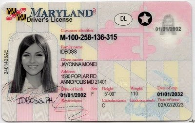 Medium Size United States Maryland Fake ID - View 1 - High Quality Scannable ID