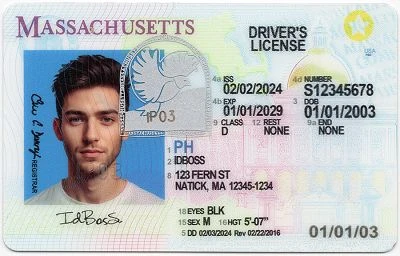 Medium Size United States Massachusetts-MA Fake ID - View 1 - High Quality Scannable ID