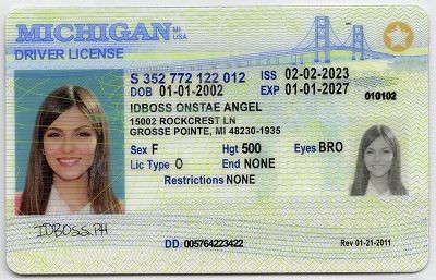Michigan Fake ID - Premium Scannable ID
