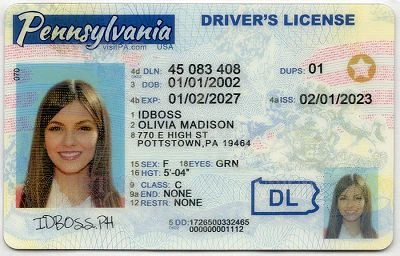 Medium Size United States Pennsylvania Fake ID - View 1 - High Quality Scannable ID