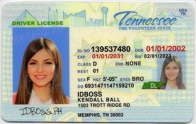 Tennessee Fake ID - Premium Scannable ID