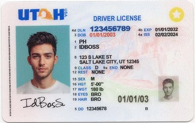 Medium Size United States Utah-UT Fake ID - View 1 - High Quality Scannable ID
