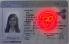 Small Size Canada Ontario Canada Fake id - View 2 - High Quality Scannable ID