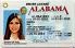 Medium Size United States Alabama Fake ID - High Quality Scannable ID