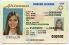 Medium Size United States Arizona Fake ID - High Quality Scannable ID