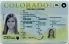 Medium Size United States Colorado Fake ID - High Quality Scannable ID
