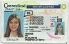 Medium Size United States Connecticut Fake ID - High Quality Scannable ID