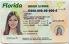Small Size United States Florida Fake ID - View 1 - High Quality Scannable ID