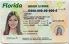 Medium Size United States Florida Fake ID - High Quality Scannable ID