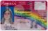 Medium Size United States Hawaii Fake ID - High Quality Scannable ID