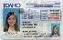 Medium Size United States Idaho Fake ID - High Quality Scannable ID