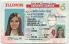 Medium Size United States Illinois - High Quality Scannable ID