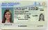 Small Size United States Michigan Fake ID - View 1 - High Quality Scannable ID