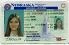 Medium Size United States Nebraska Fake ID - High Quality Scannable ID