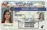 Small Size United States Nevada Fake ID - View 4 - High Quality Scannable ID