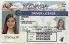Medium Size United States Nevada Fake ID - High Quality Scannable ID