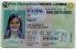 Small Size United States New Hampshire Fake ID - View 1 - High Quality Scannable ID