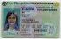 Medium Size United States New Hampshire Fake ID - High Quality Scannable ID