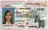 Medium Size United States North Carolina Fake ID - High Quality Scannable ID