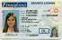 Medium Size United States Pennsylvania Fake ID - High Quality Scannable ID