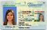 Small Size United States Tennessee Fake ID - View 3 - High Quality Scannable ID