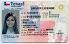 Medium Size United States Texas Fake ID - High Quality Scannable ID