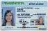 Small Size United States Washington Fake ID - View 1 - High Quality Scannable ID