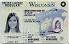 Small Size United States Wisconsin Fake ID - View 1 - High Quality Scannable ID