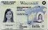 Medium Size United States Wisconsin Fake ID - High Quality Scannable ID