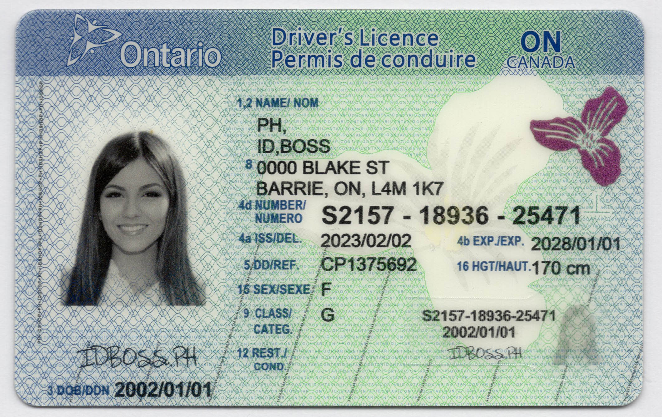 Ontario Canada Fake id-idboss